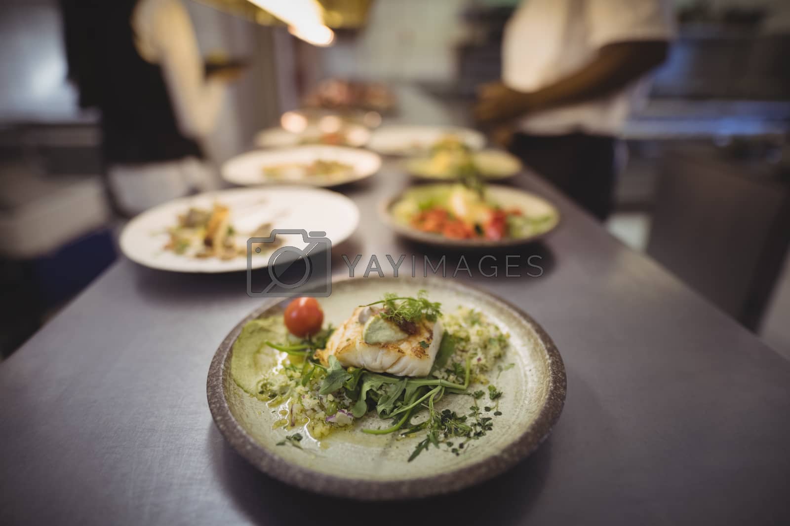 Royalty free image of Close-up of garnished food served in plate by Wavebreakmedia