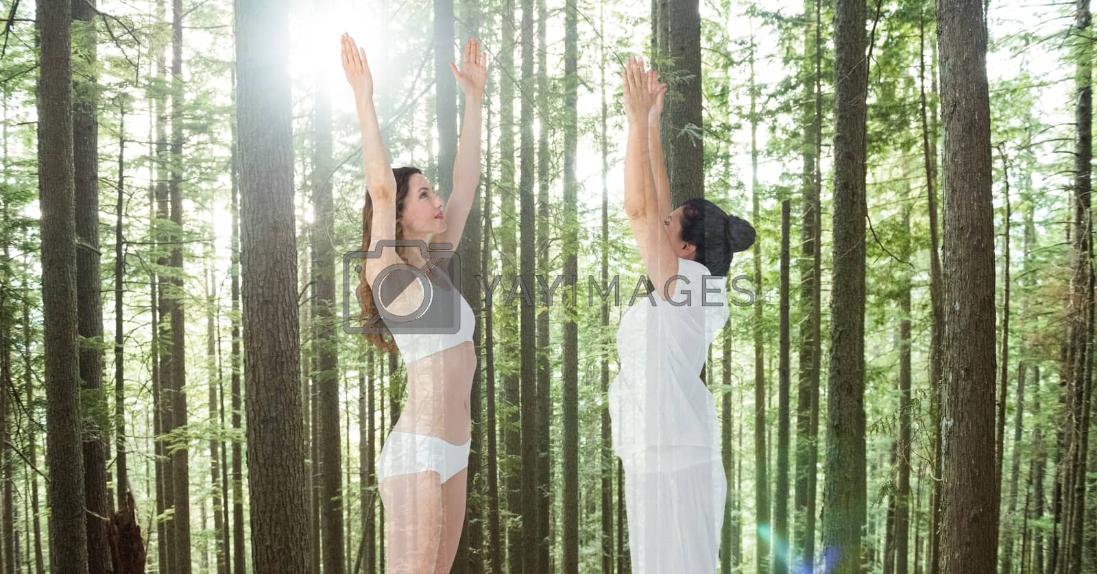 Royalty free image of Women performing yoga against trees by Wavebreakmedia