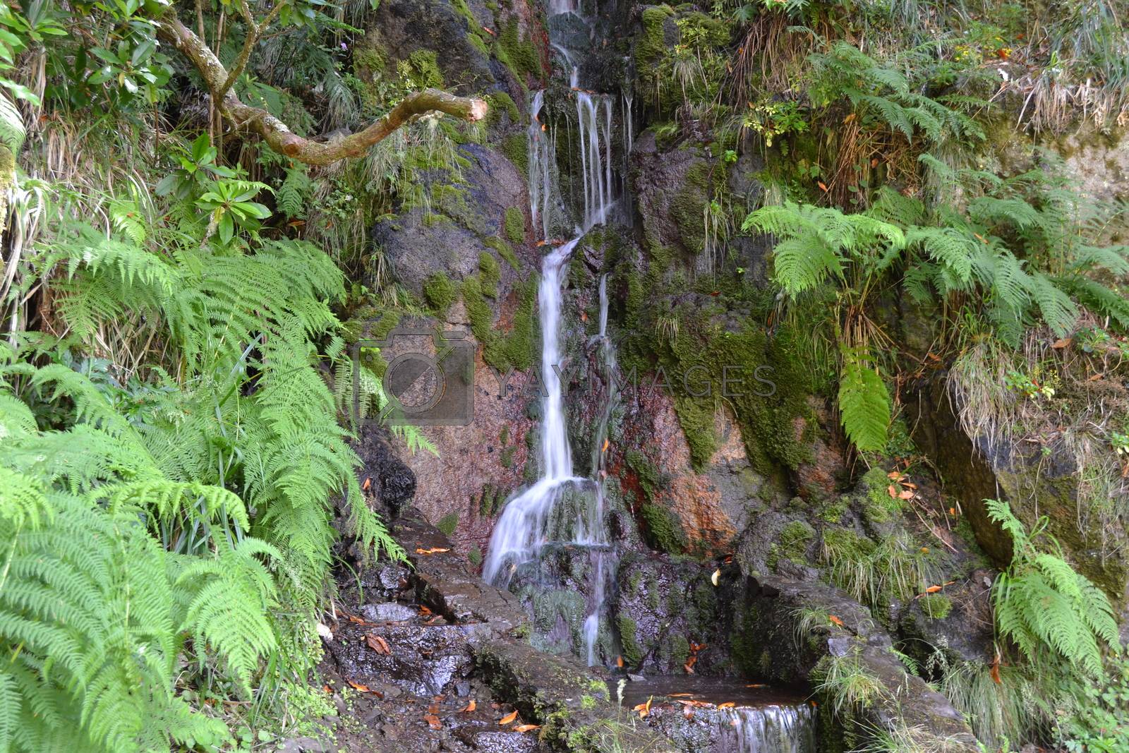 Royalty free image of Small waterfall by VistaFrontale