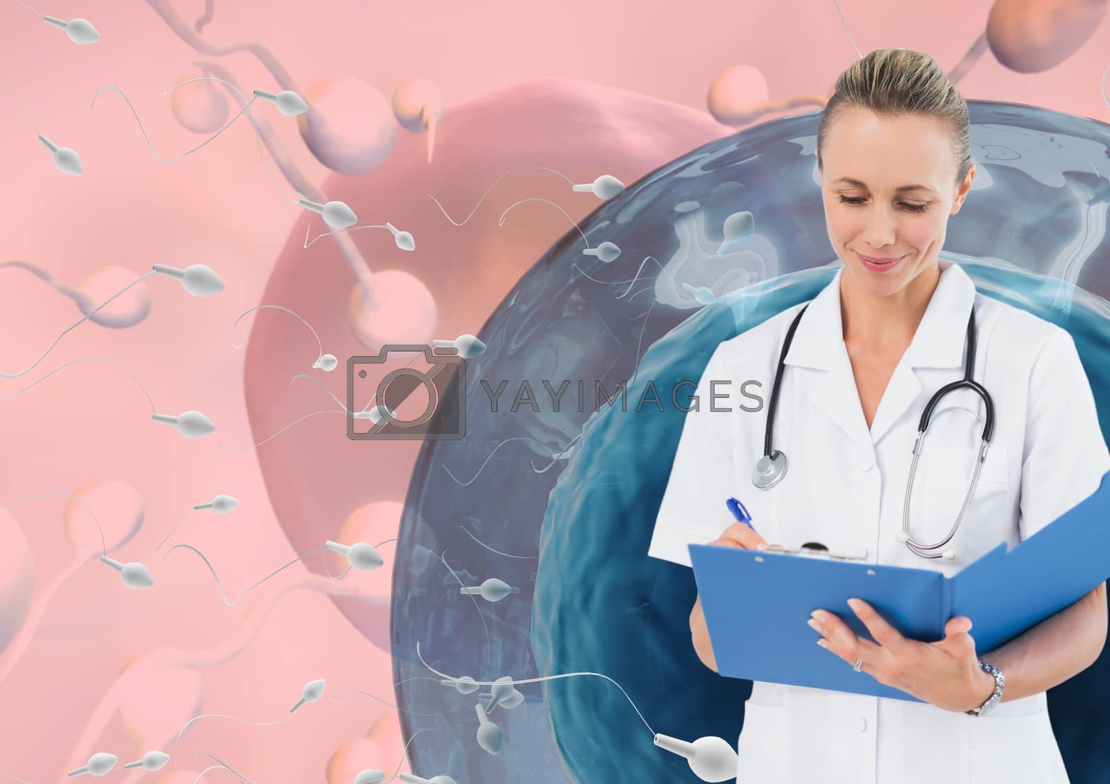 Royalty free image of Doctor with sperm reproduction ovary for family planning by Wavebreakmedia