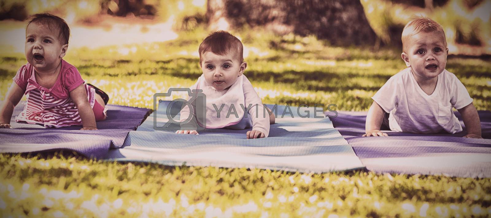 Three babies crawling on exercise-mat in park