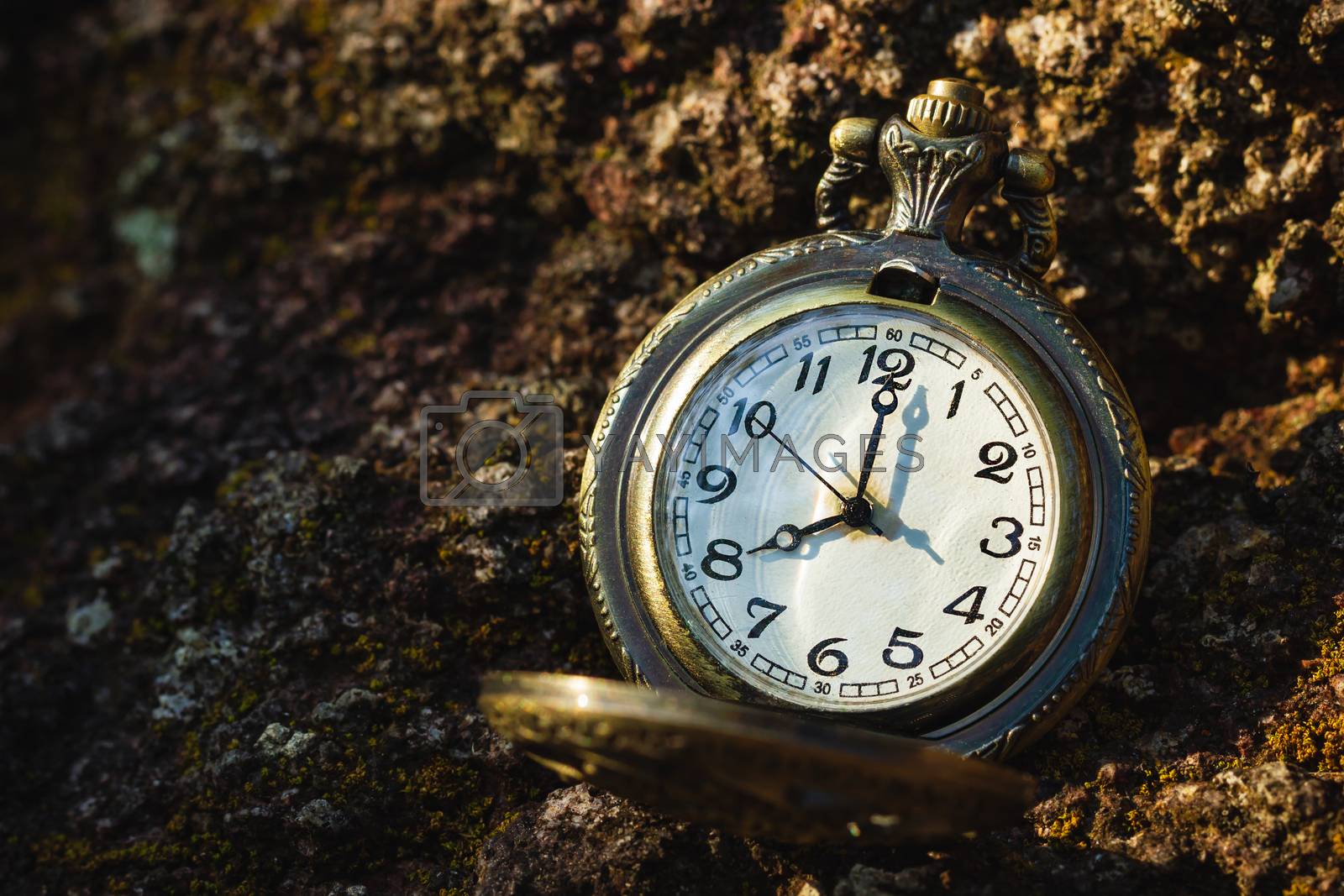 Royalty free image of Vintage old pocket watch placed on the rock in forest. by SaitanSainam