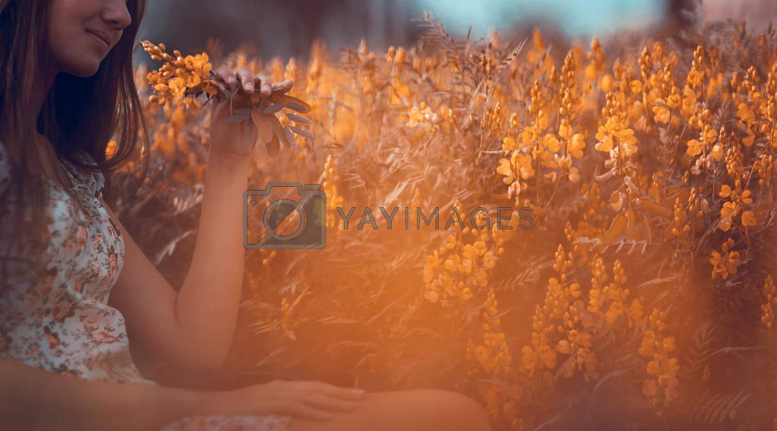 Royalty free image of Girl on the floral field by Anna_Omelchenko