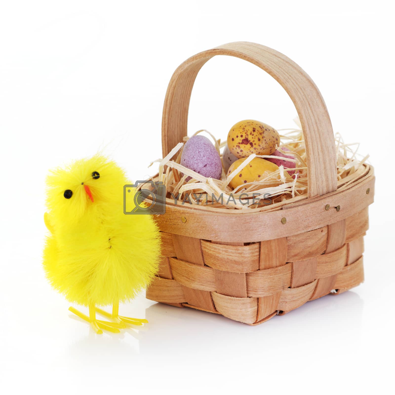 Royalty free image of Easter chick and candy eggs in a basket with straw on white by VivacityImages