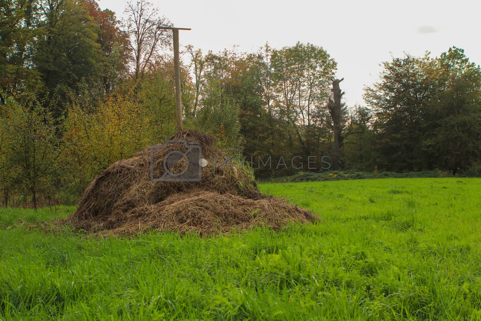 Royalty free image of composting in filed to gain organic fertilizer. One one to port by PeterHofstetter