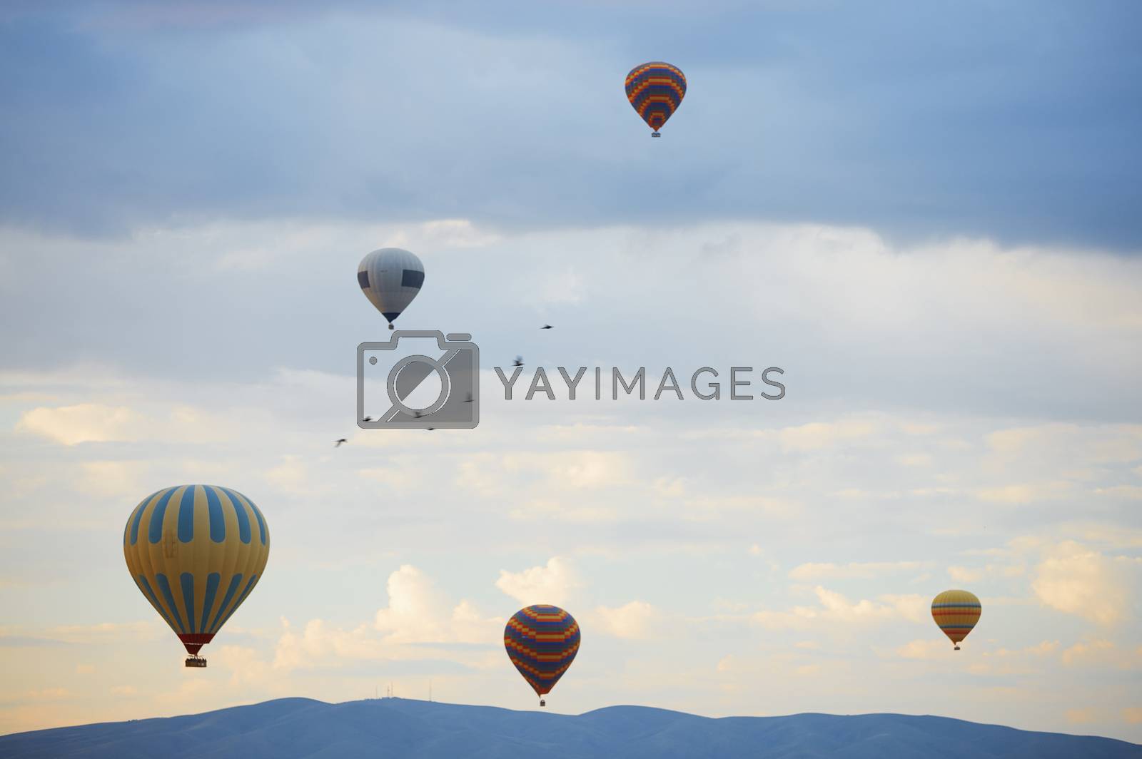 Royalty free image of Hot air balloons and birds flying over the mountains by Novic