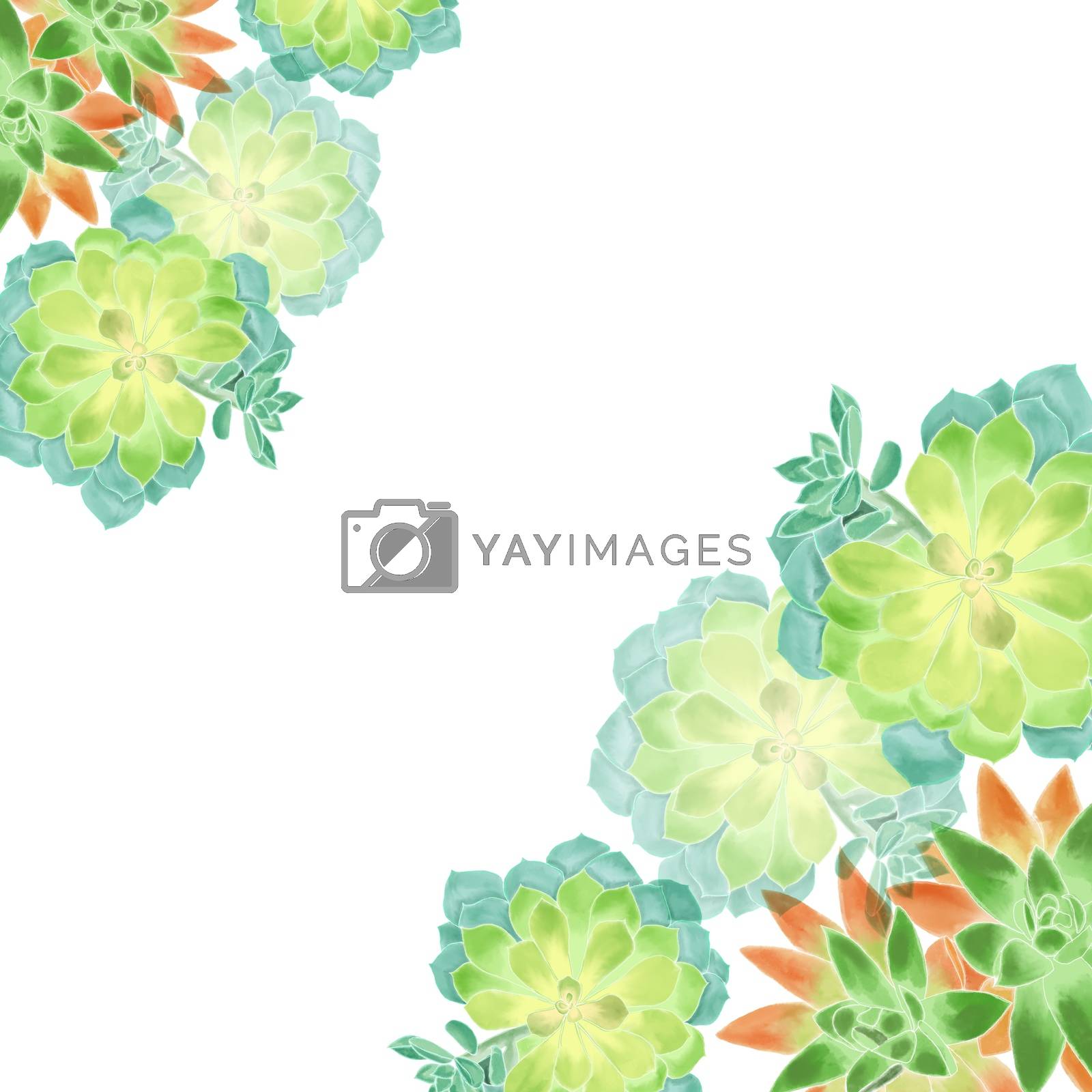 Royalty free image of illustration of Watercolor succulents  by Margolana