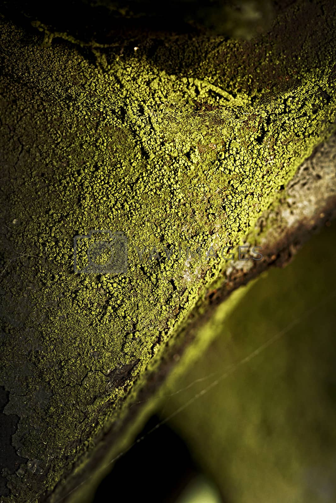 Royalty free image of Rusty old metal machine covered with moss by PeterHofstetter