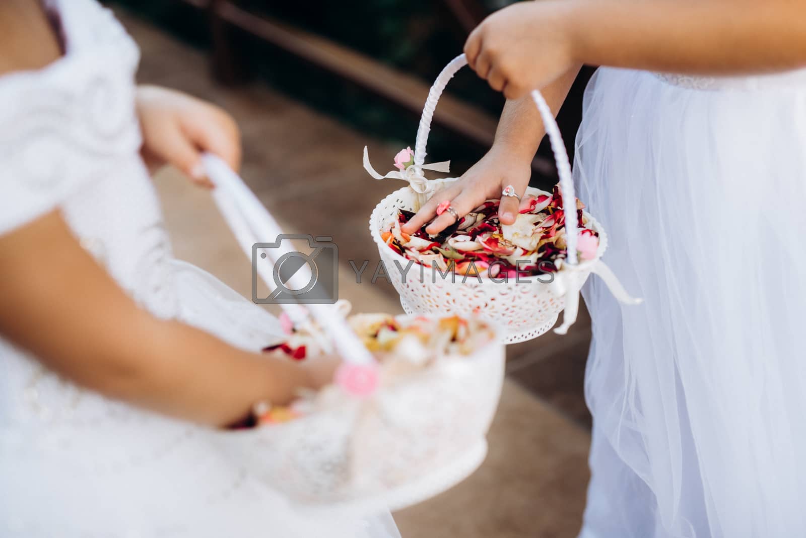 Royalty free image of rose petals for the ceremony in wedding baskets by Andreua