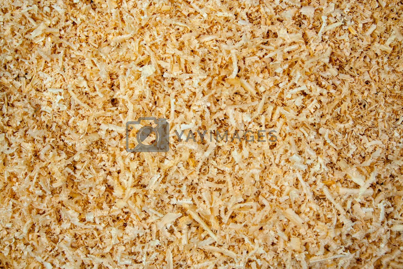Royalty free image of Sawdust texture by Quils