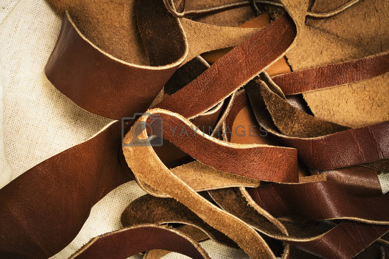 Royalty free image of many leather straps of different colors by Ahojdoma