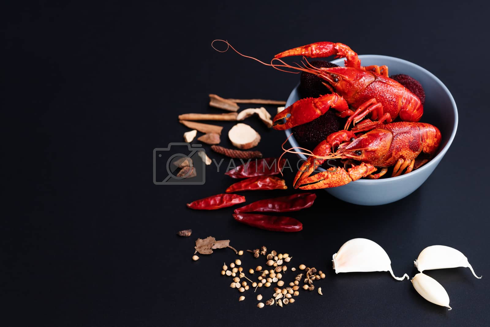 Royalty free image of Crayfish red, Baby Lobster with herb for stir fry on black backg by psodaz