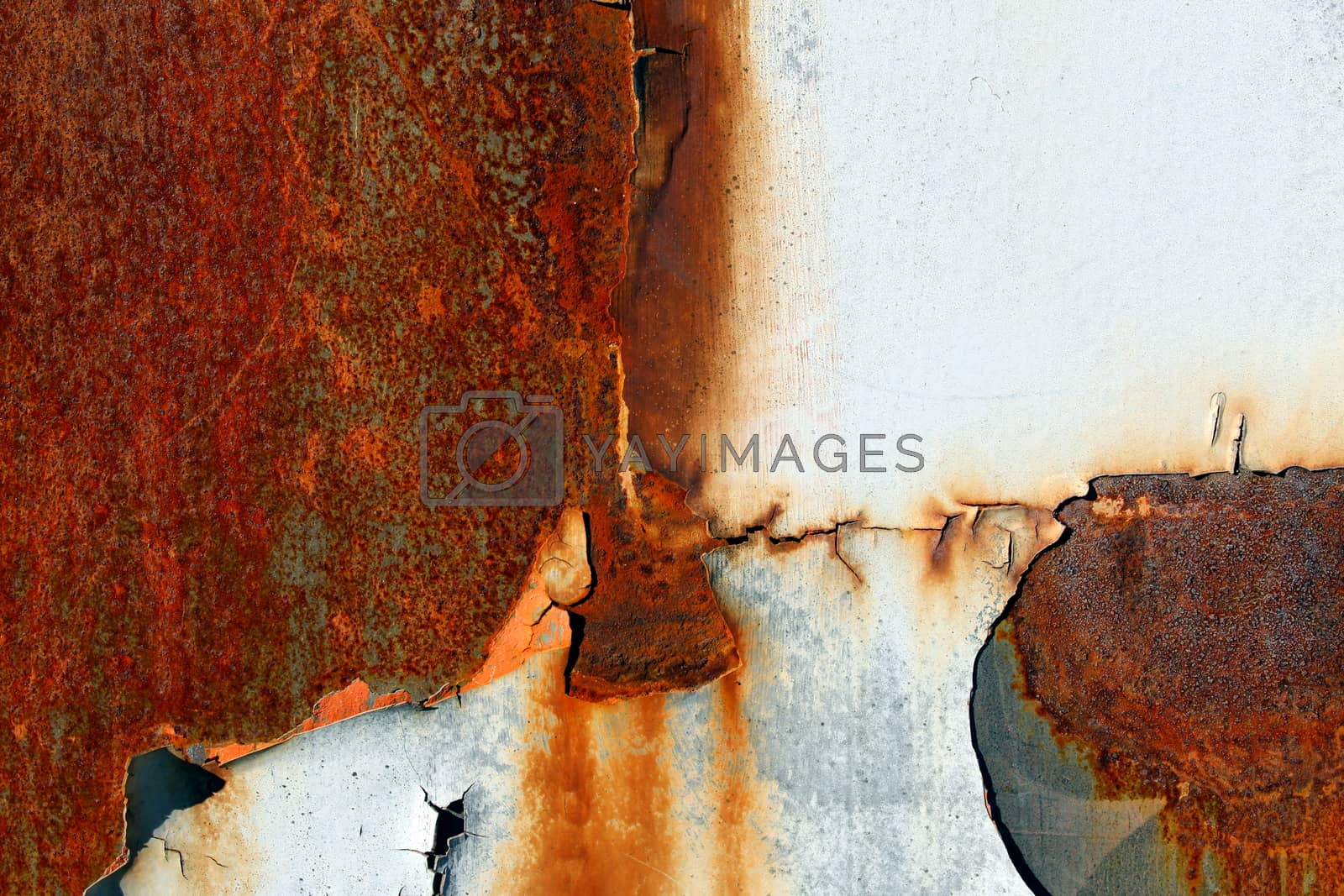 Royalty free image of Rust on metal surface by maciejmatteo