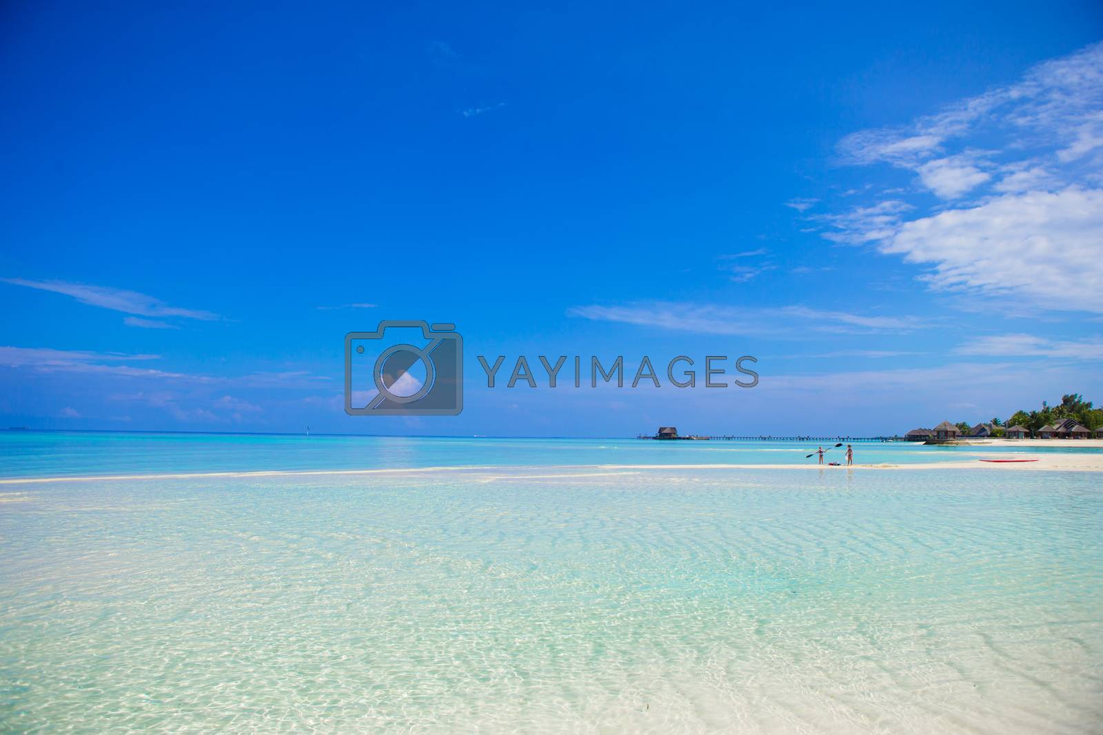 Royalty free image of Idyllic tropical beach with white sand and perfect turquoise water by travnikovstudio