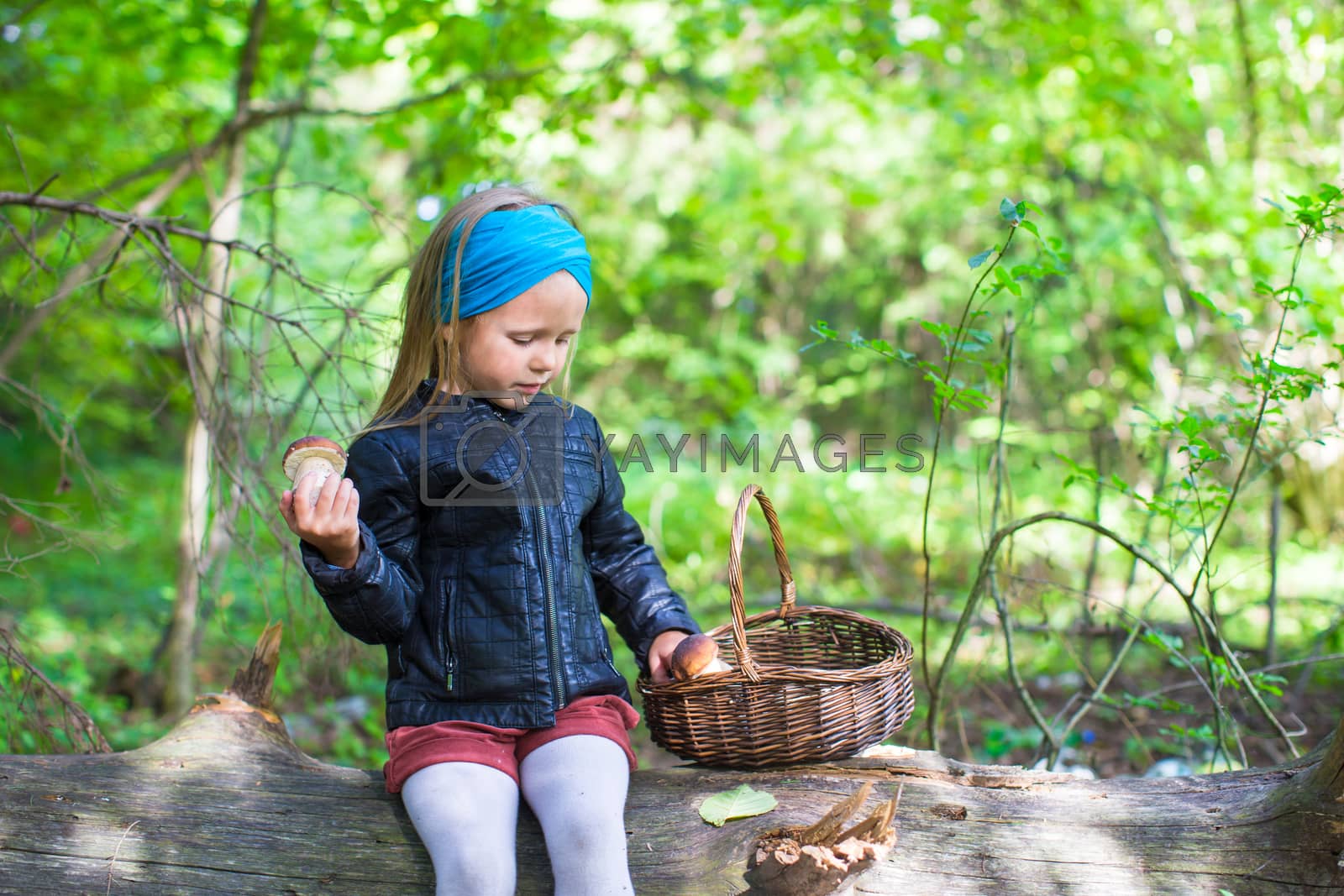 Royalty free image of Little girl gathering mushrooms in autumn forest by travnikovstudio