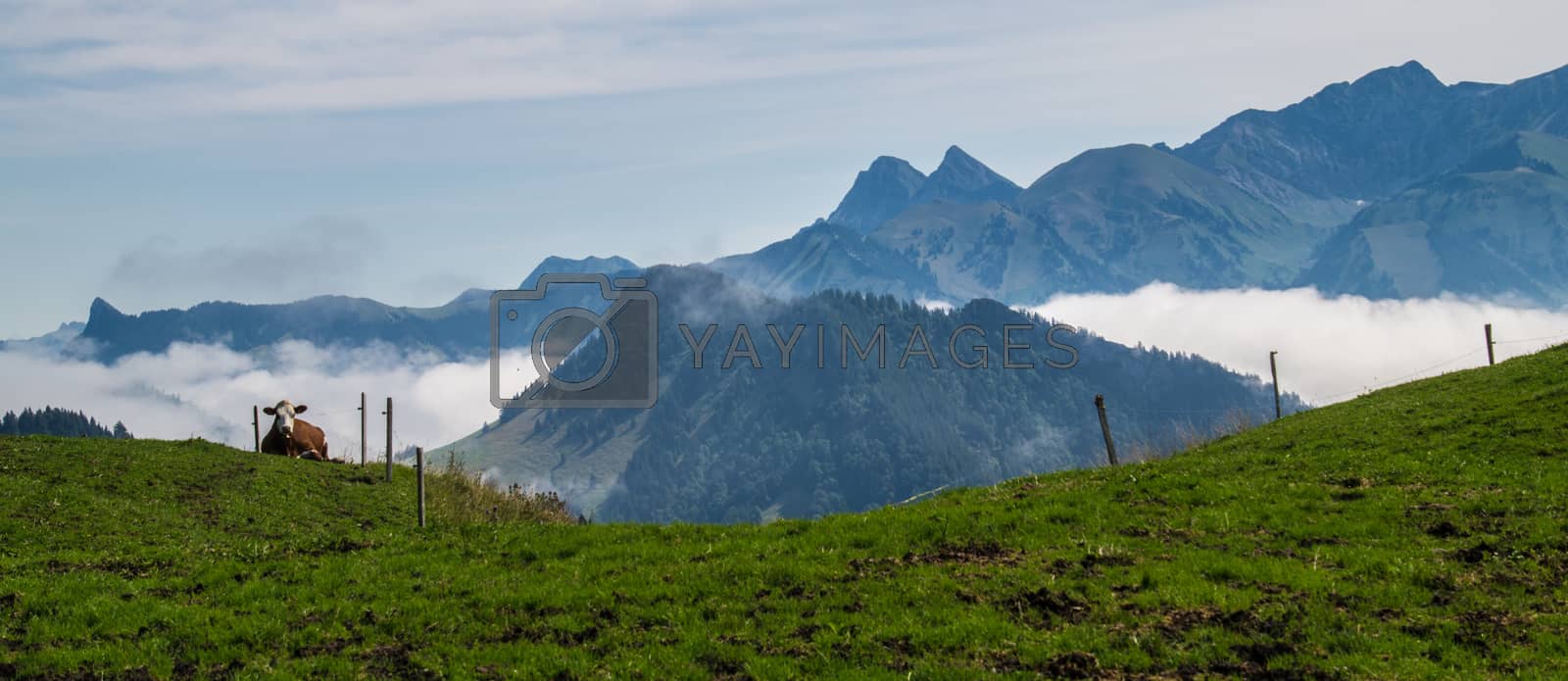 Royalty free image of landscape of the Swiss Alps by bertrand