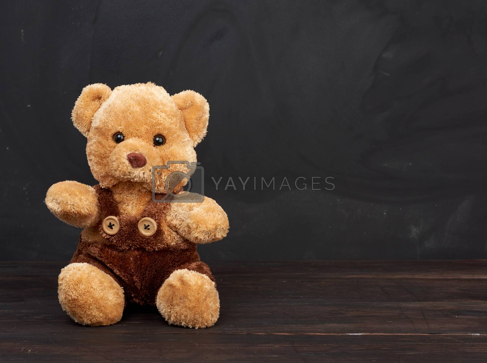 Royalty free image of brown teddy bear sits on a brown wooden table by ndanko