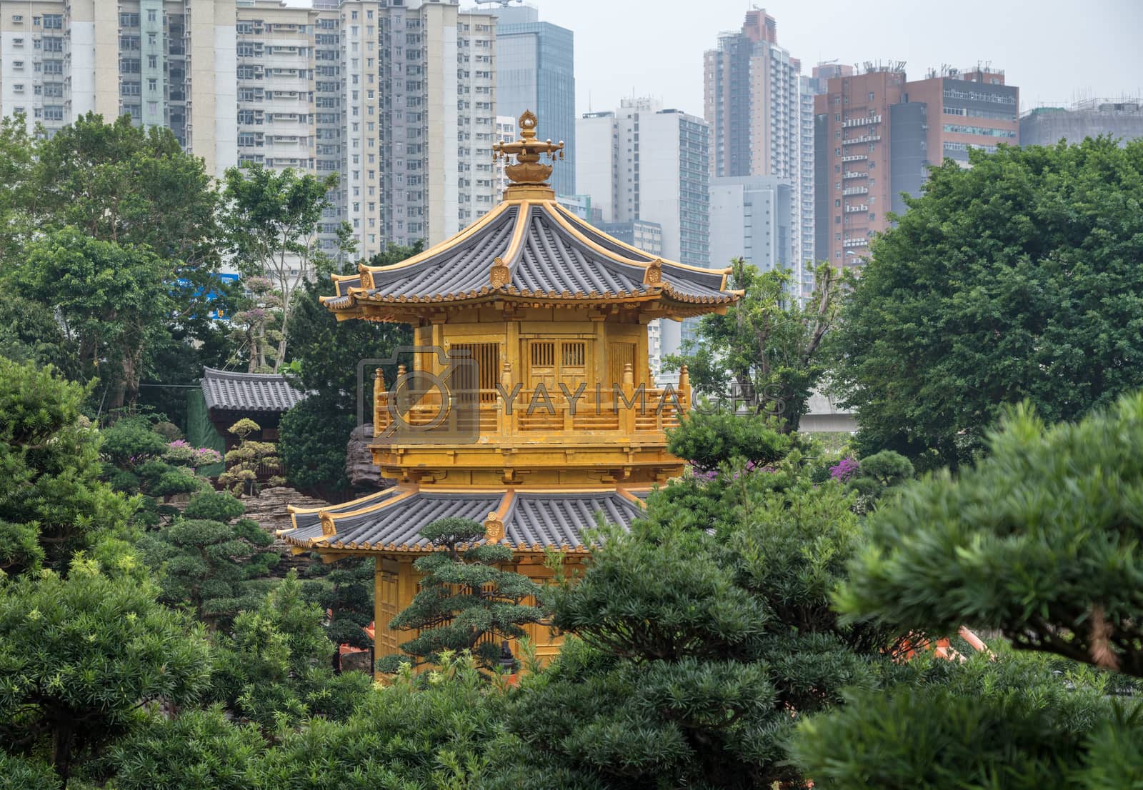 Royalty free image of Nan Lian Garden in Diamond Hill area of Hong Kong by steheap