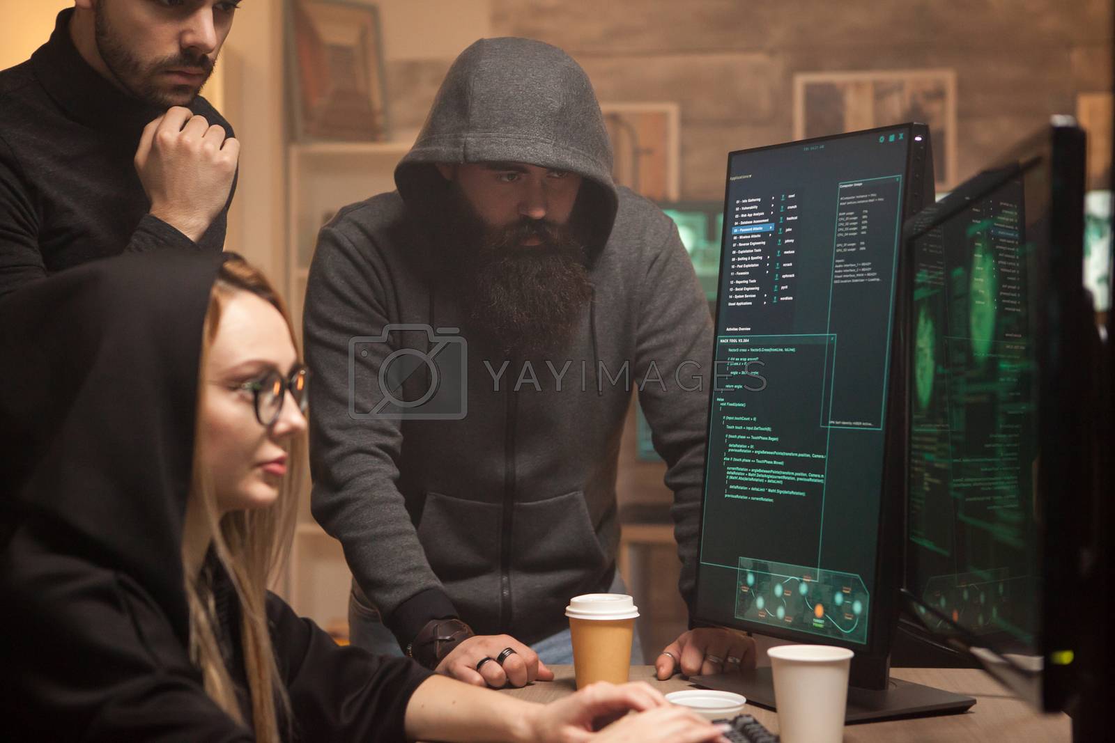 Royalty free image of Bearded hacker wearing a hoodie while his team breaks vulnerable government by DCStudio