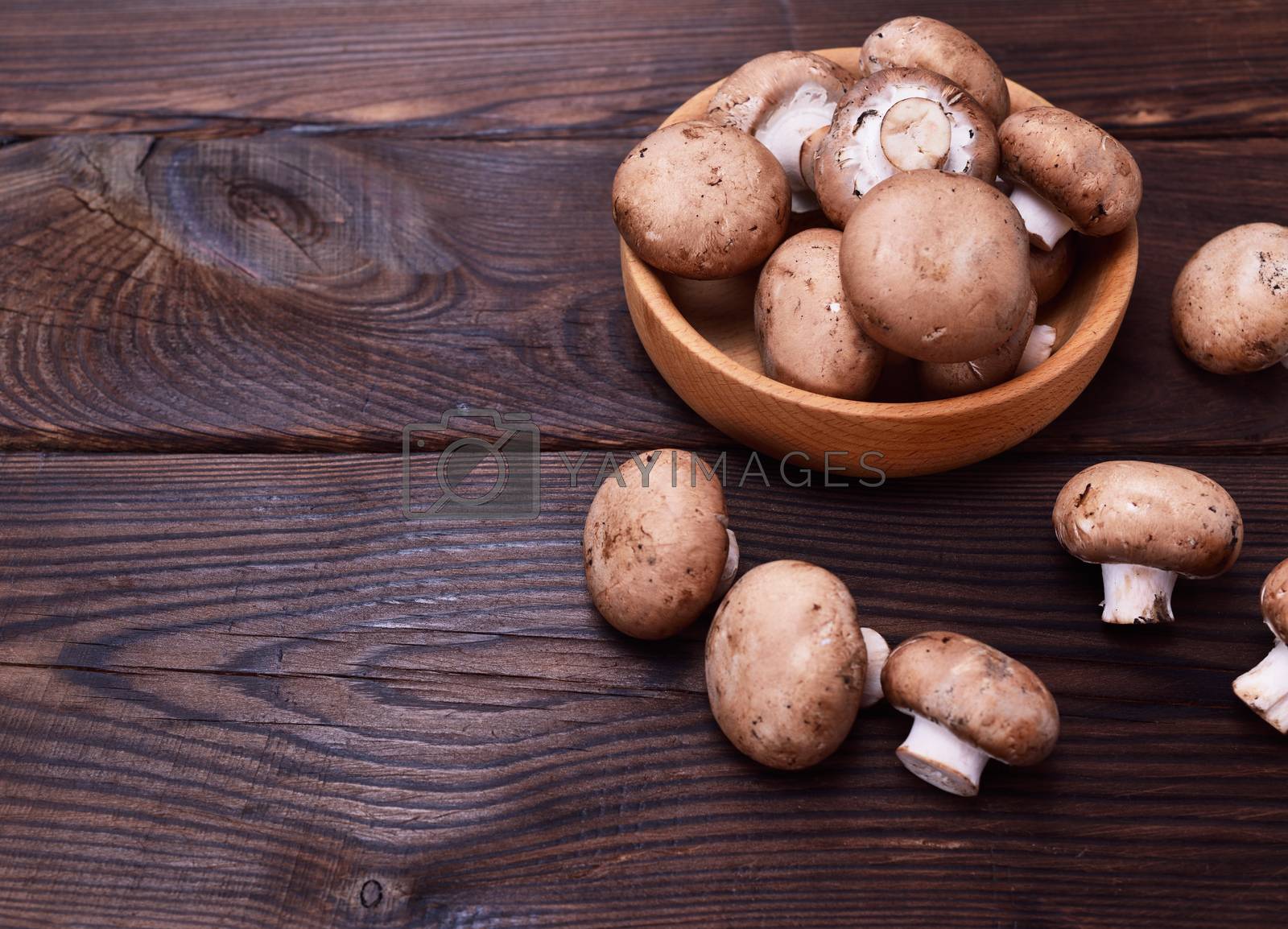 Royalty free image of Fresh mushrooms champignons by ndanko