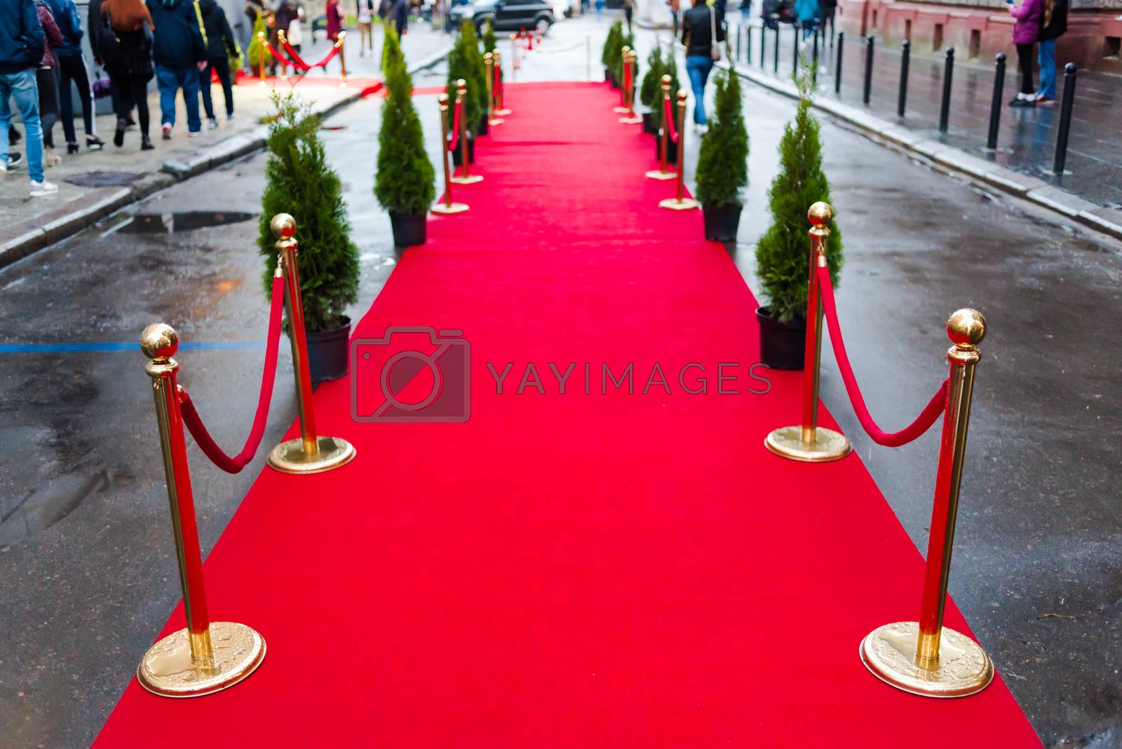Royalty free image of Long red carpet between rope barriers on entrance. by OleksandrLipko