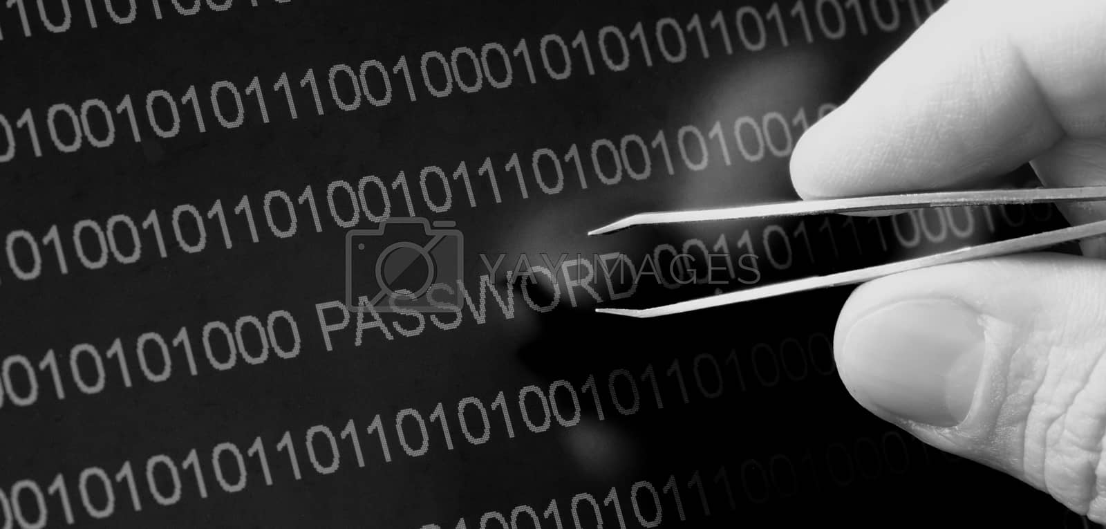 Royalty free image of Binary code, password vulnerability taking out with tweezers by michaklootwijk