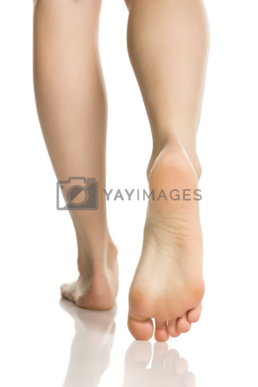 Royalty free image of Female feet  on white background by Vladimirfloyd