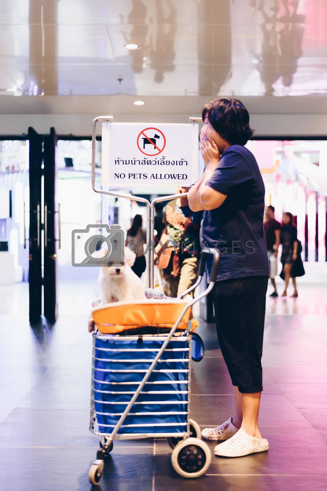 Bangkok, Thailand - July 1, 2017 : Unidentified asian woman feeling shocked when her and her pet (The dog) on shopping cart found warning sign No Pets Allowed at entrance door for exhibit hall or expo