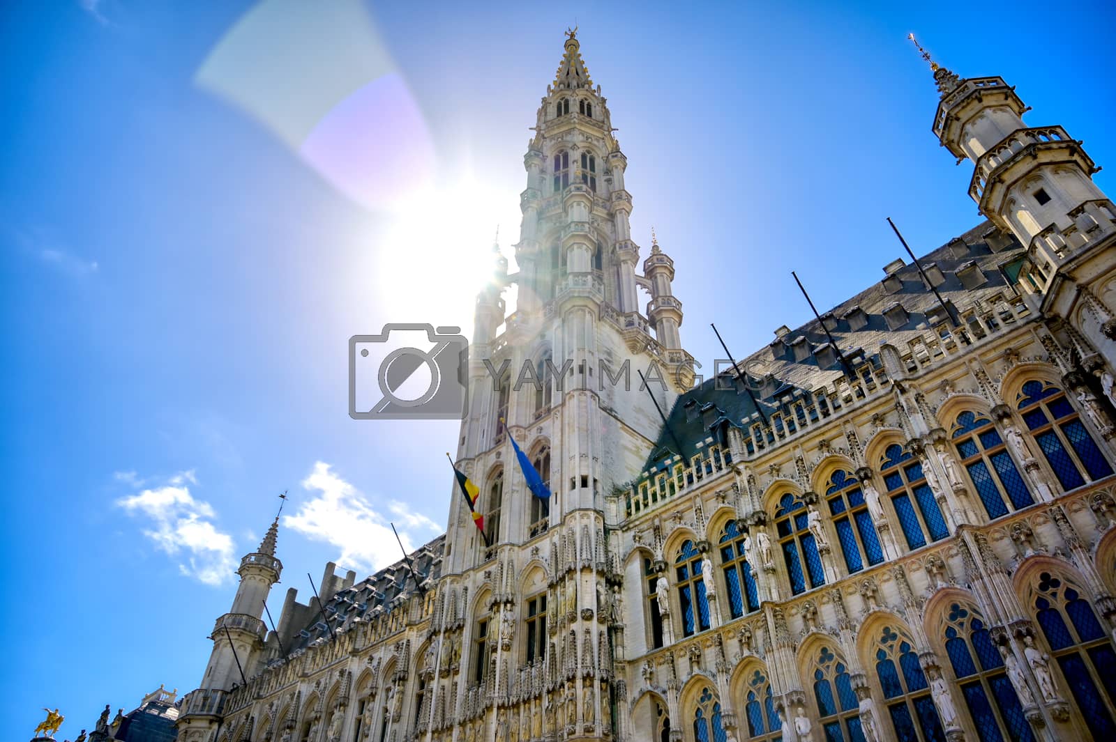 Royalty free image of Town Hall in Brussels, Belgium by jbyard22