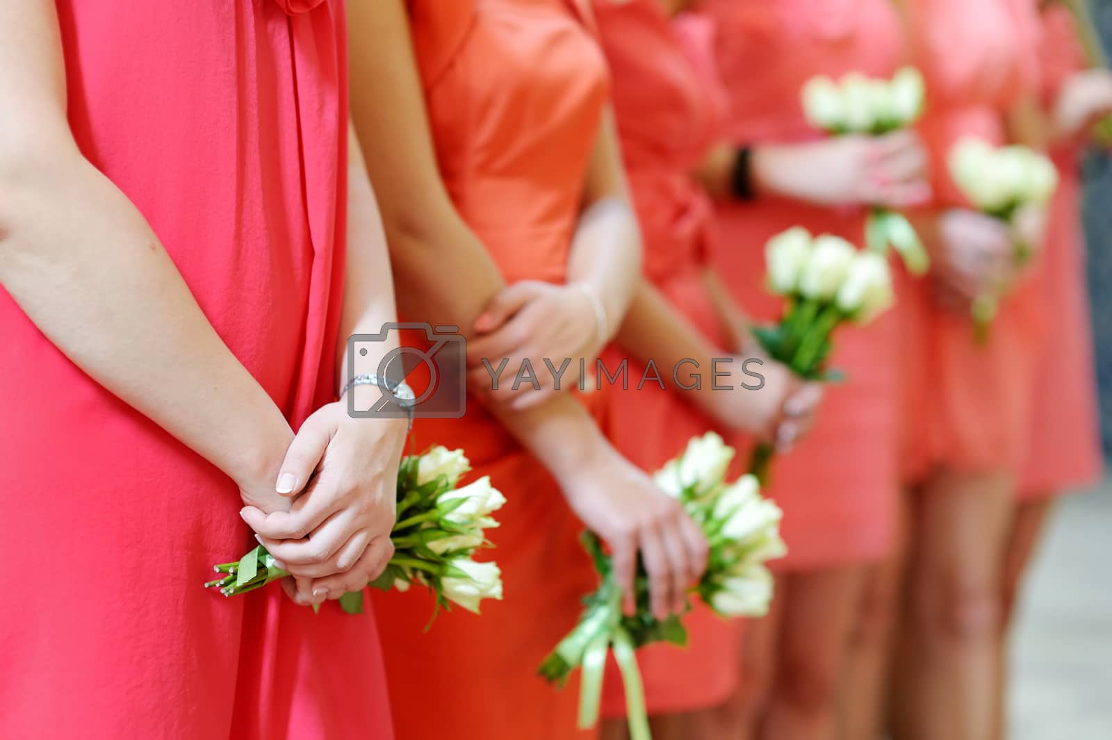 Royalty free image of Row of bridesmaids with bouquets by maximkabb