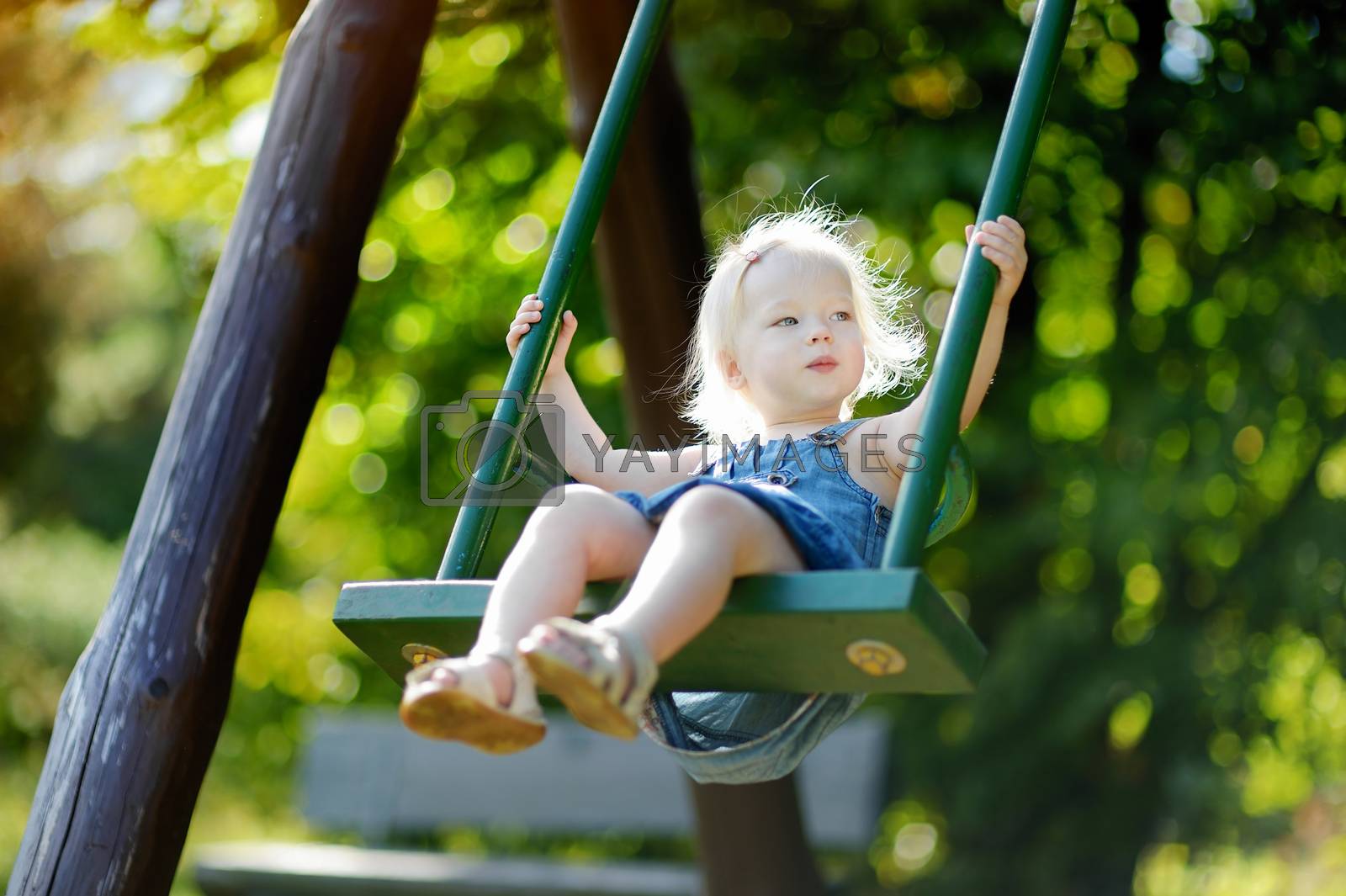 Royalty free image of Adorable girl having fun on a swing by maximkabb