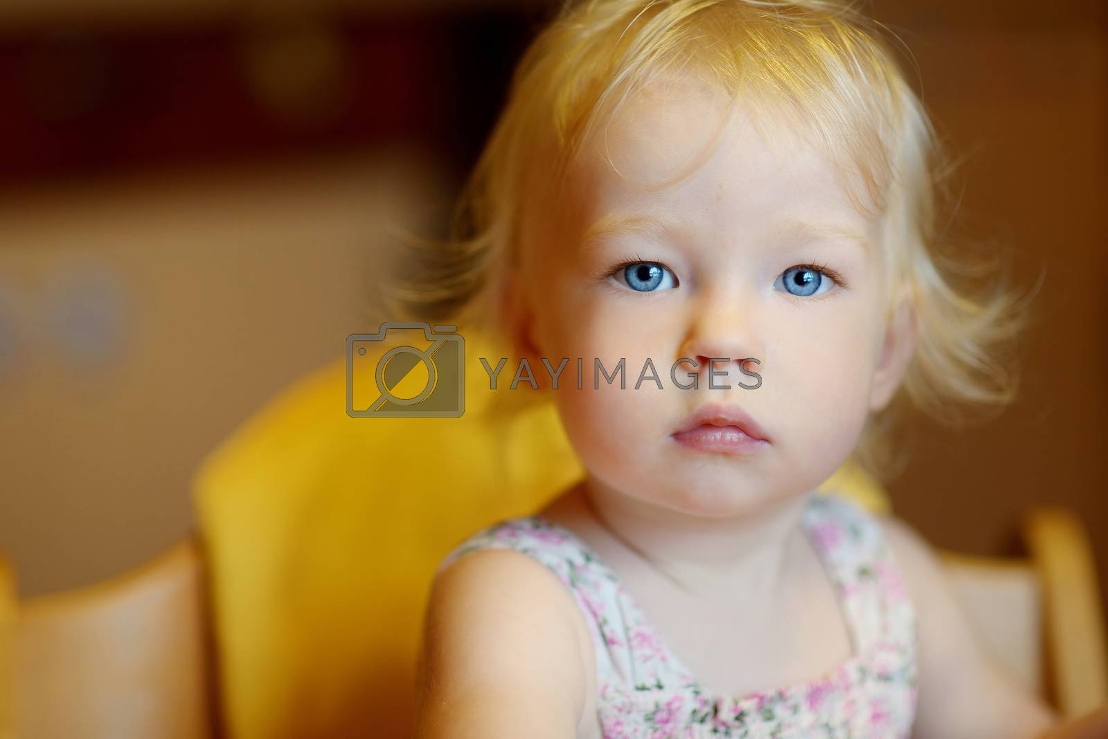 Royalty free image of Adorable little girl portrait by maximkabb