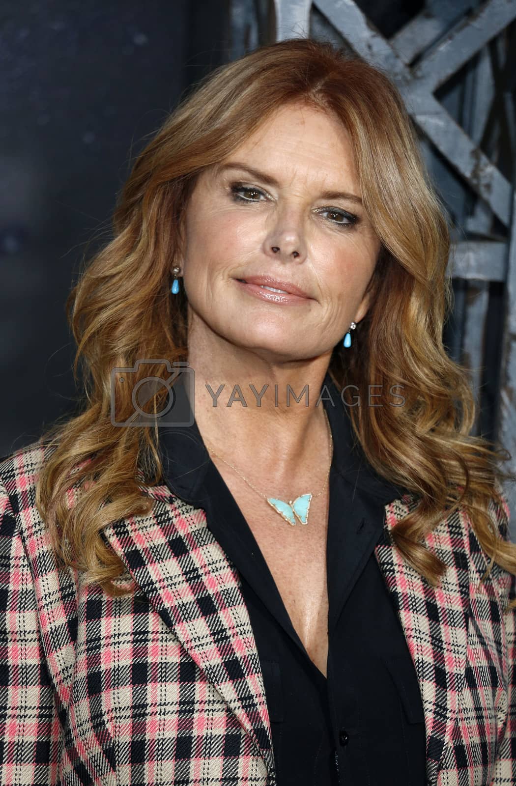 Royalty free image of Roma Downey by Lumeimages