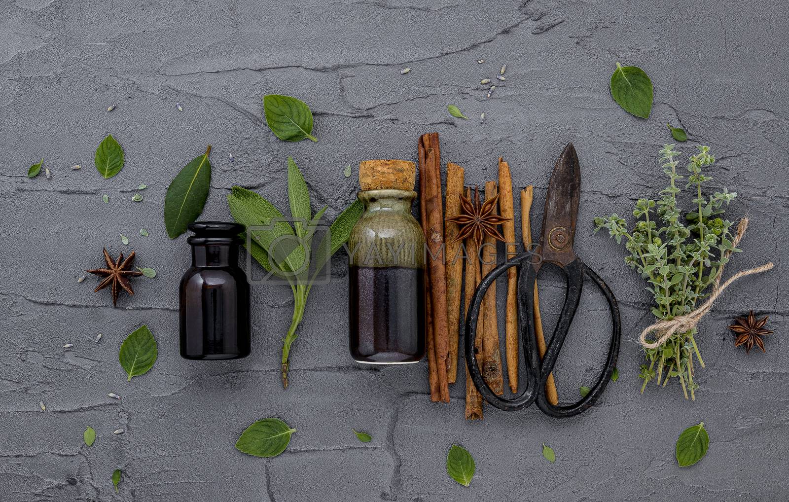 Royalty free image of Bottle of essential oil with fresh herbal sage, rosemary, lemon  by kerdkanno
