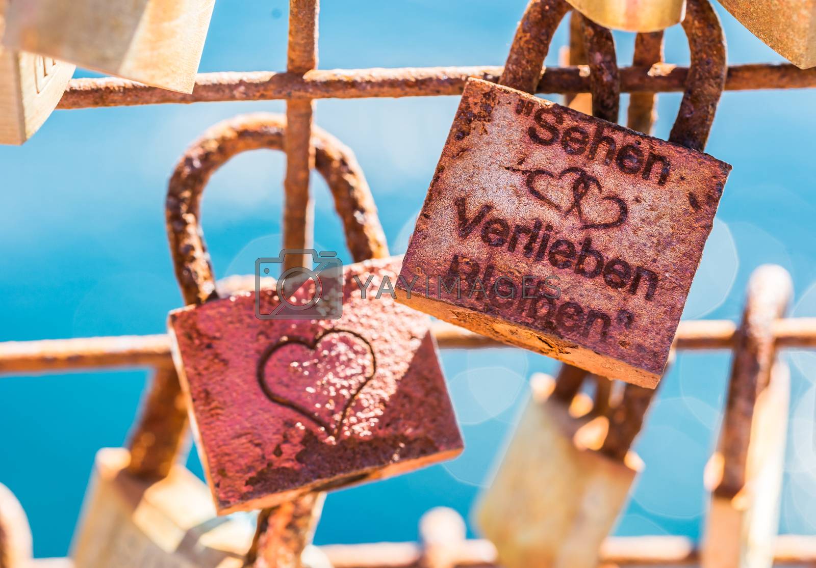 Royalty free image of Old love locks hanging on fence by Vulcano