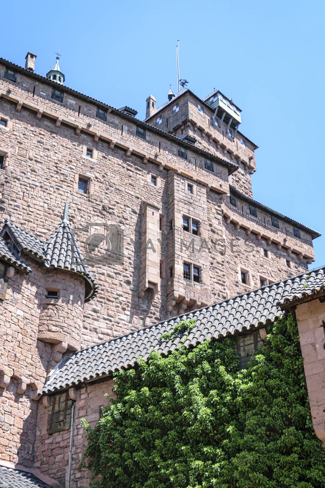 Royalty free image of Entrace of the Castle by mrs_vision