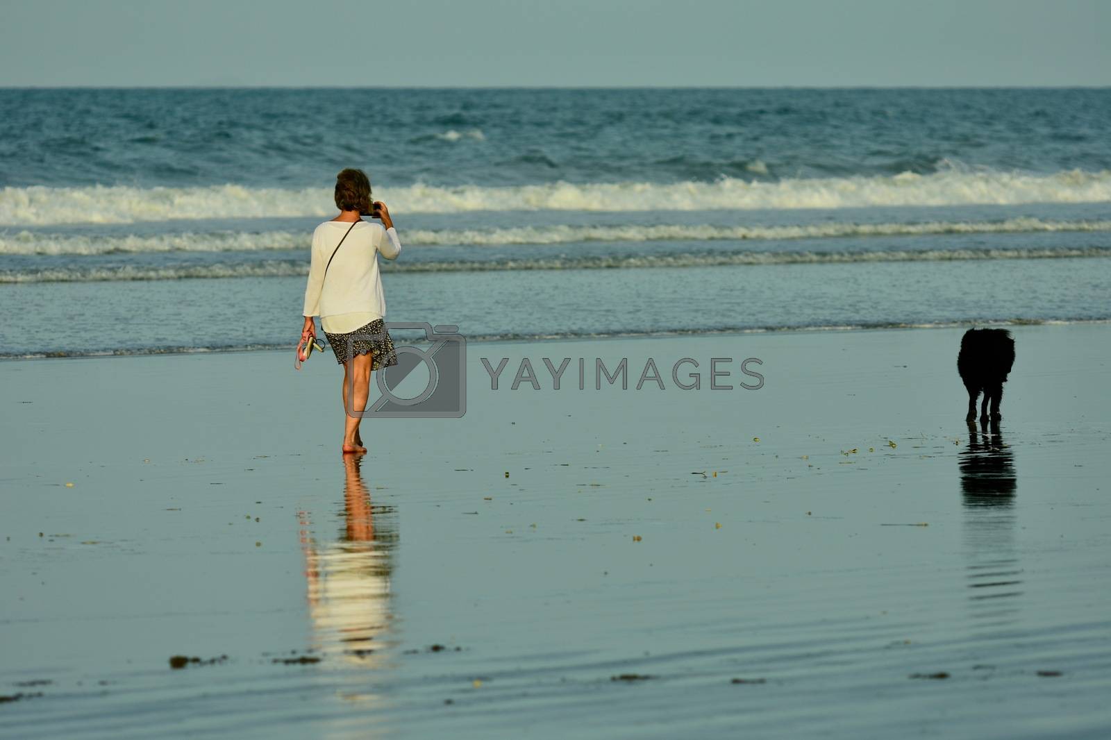 Royalty free image of Auckland, New Zealand - Mar 2020. An unidentified young woman enjoying a walk on the beach, with her dog exploring the beach. by Marshalkina