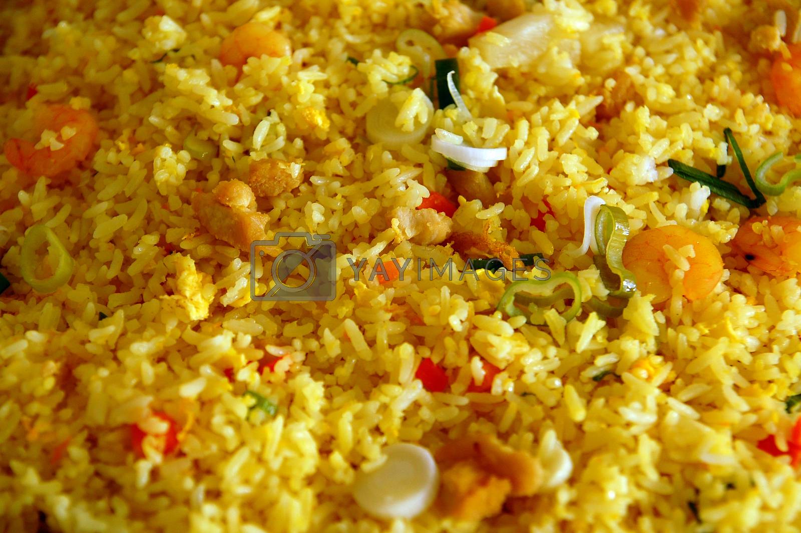 Royalty free image of Yang Chow Chinese mix fried rice meal by imwaltersy