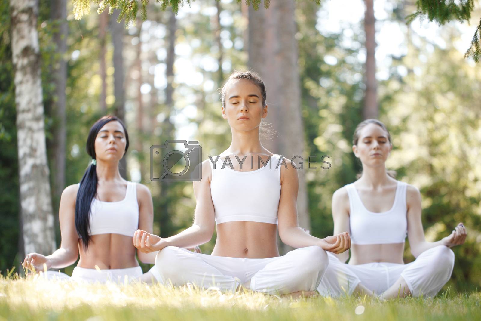 Royalty free image of Yoga group training at park by ALotOfPeople