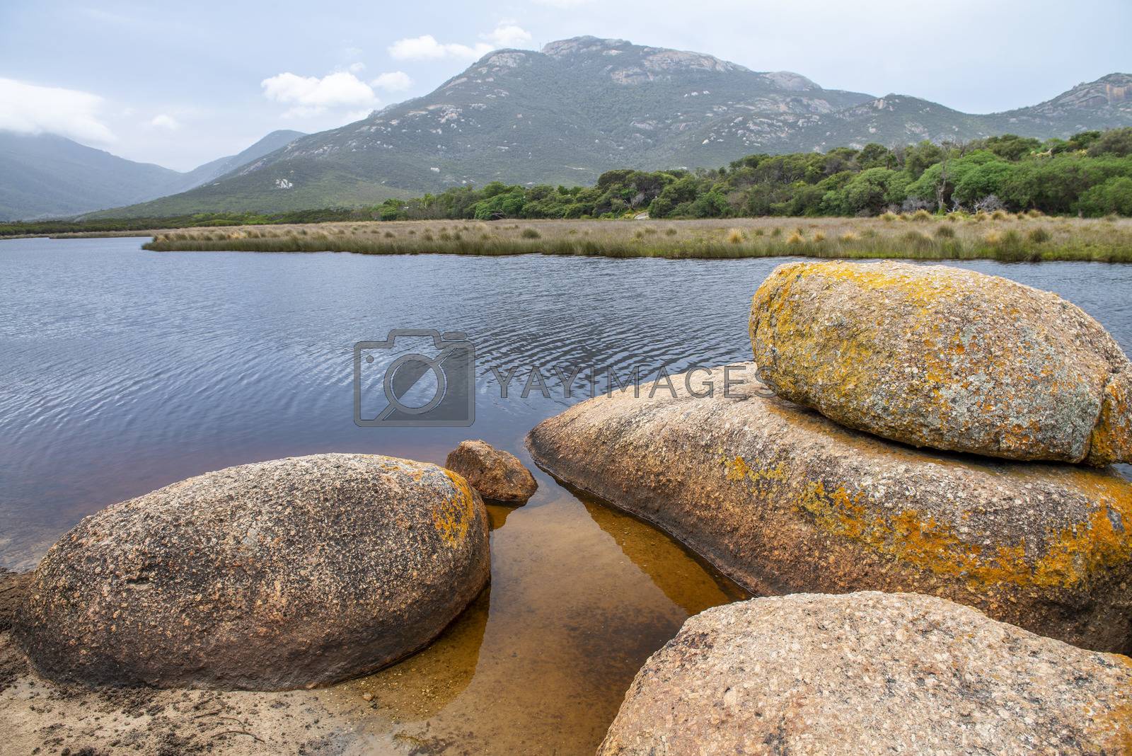 Royalty free image of Wilsons Promontory National Park, Australia. Tidal River and roc by jovannig