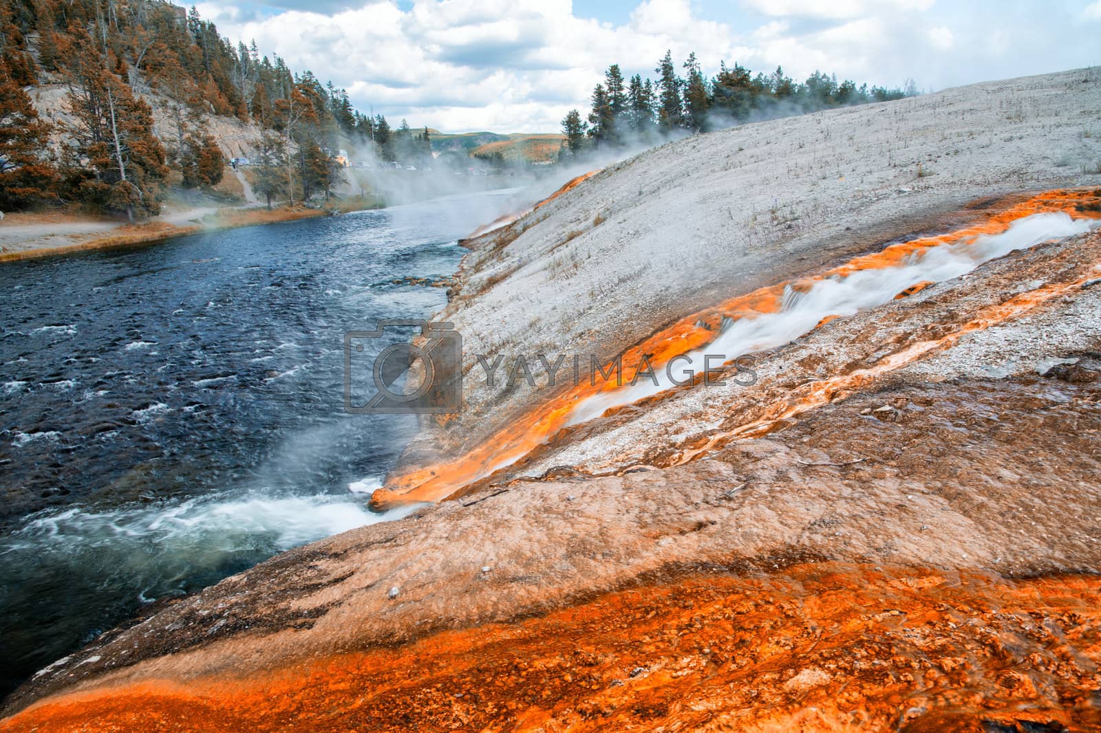 Royalty free image of Firehole river in Yellowstone National Park by jovannig