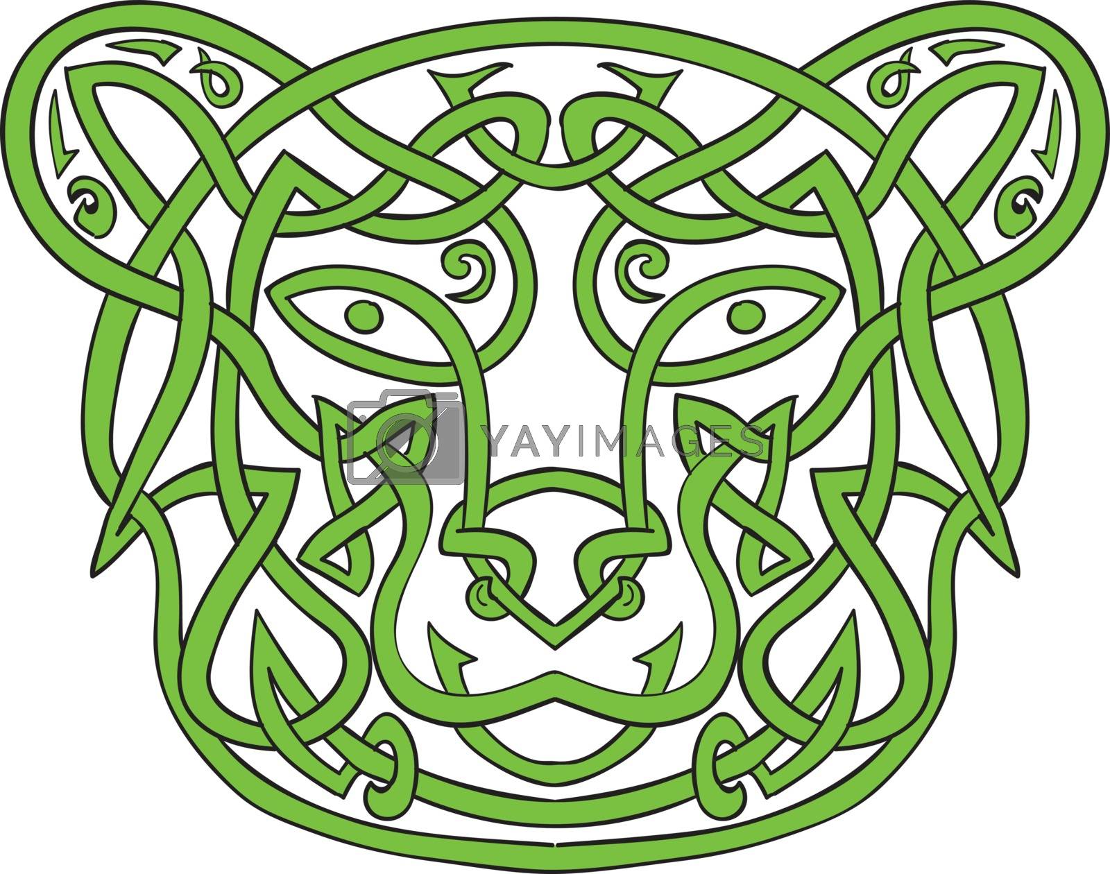 Royalty free image of Bear Celtic Knot  by patrimonio