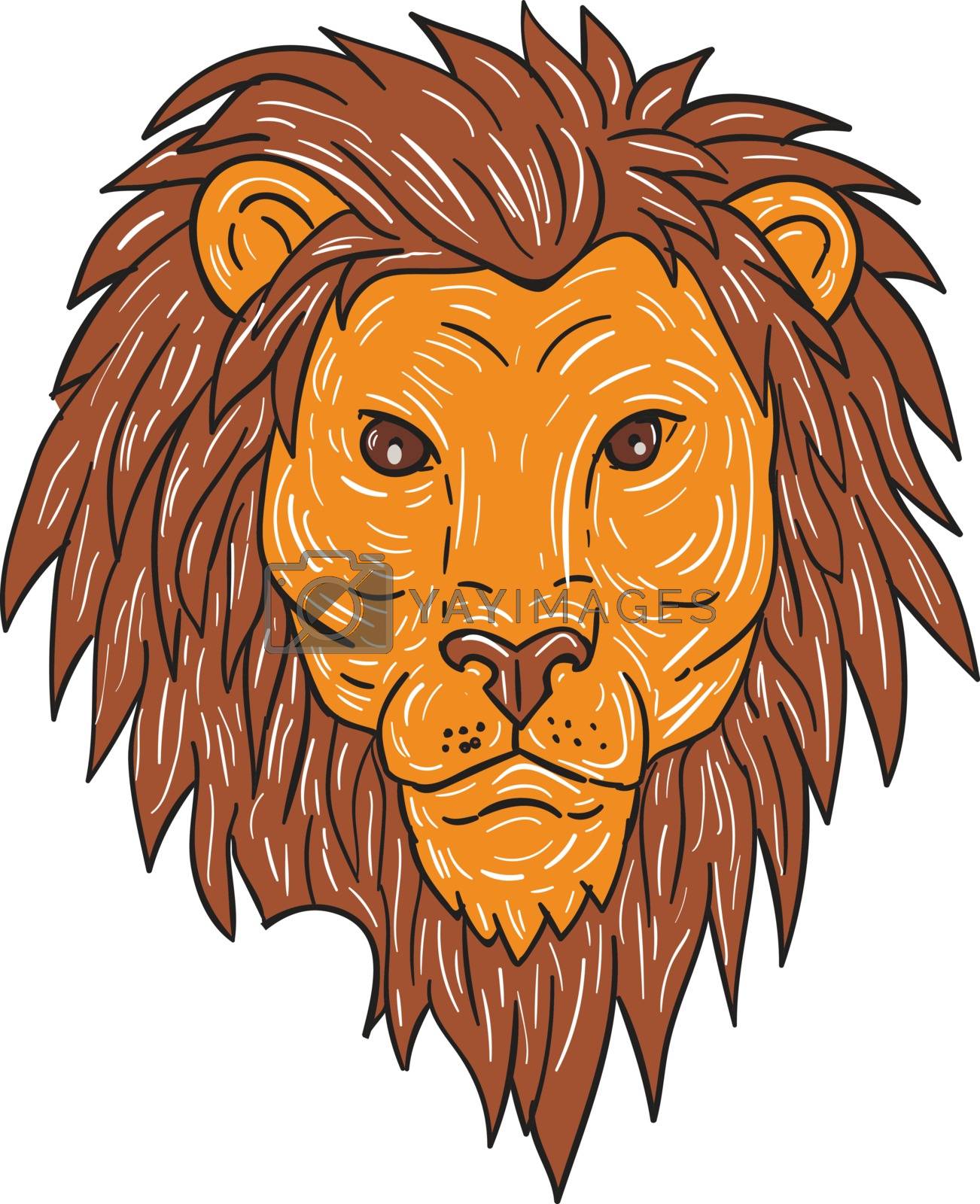 Royalty free image of Male Lion Big Cat Head Drawing by patrimonio