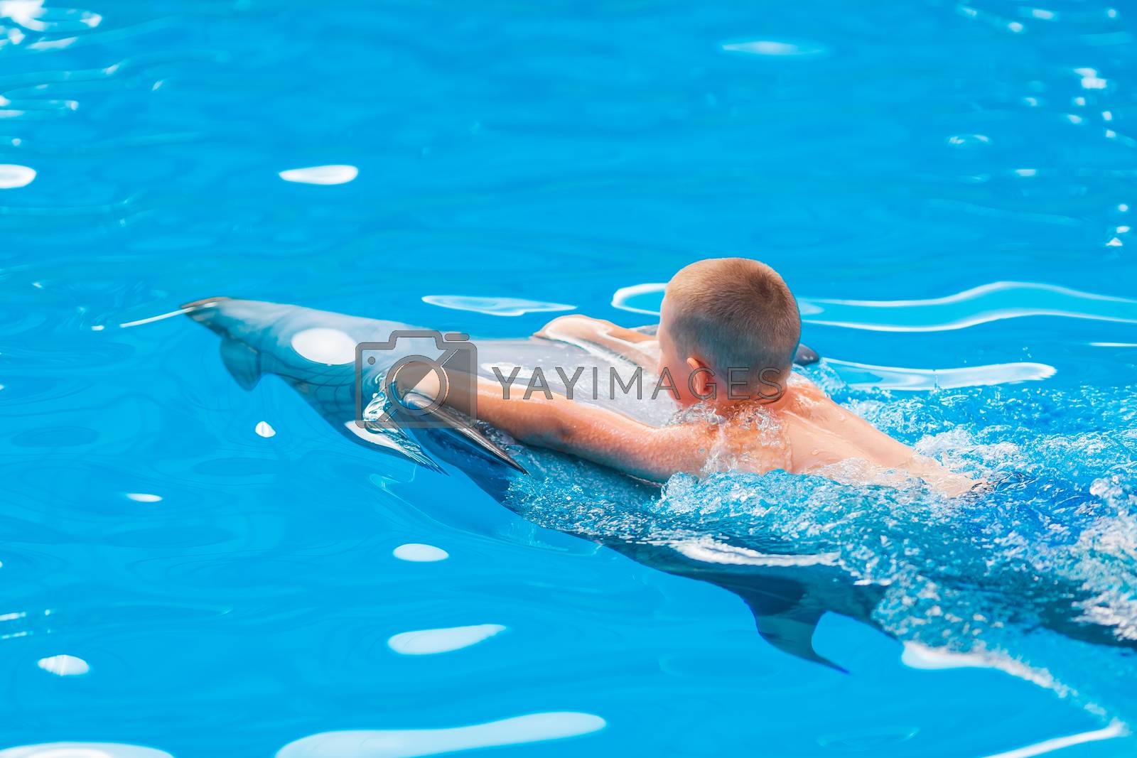 Royalty free image of Happy little boy swimming with dolphins in Dolphinarium by Len44ik