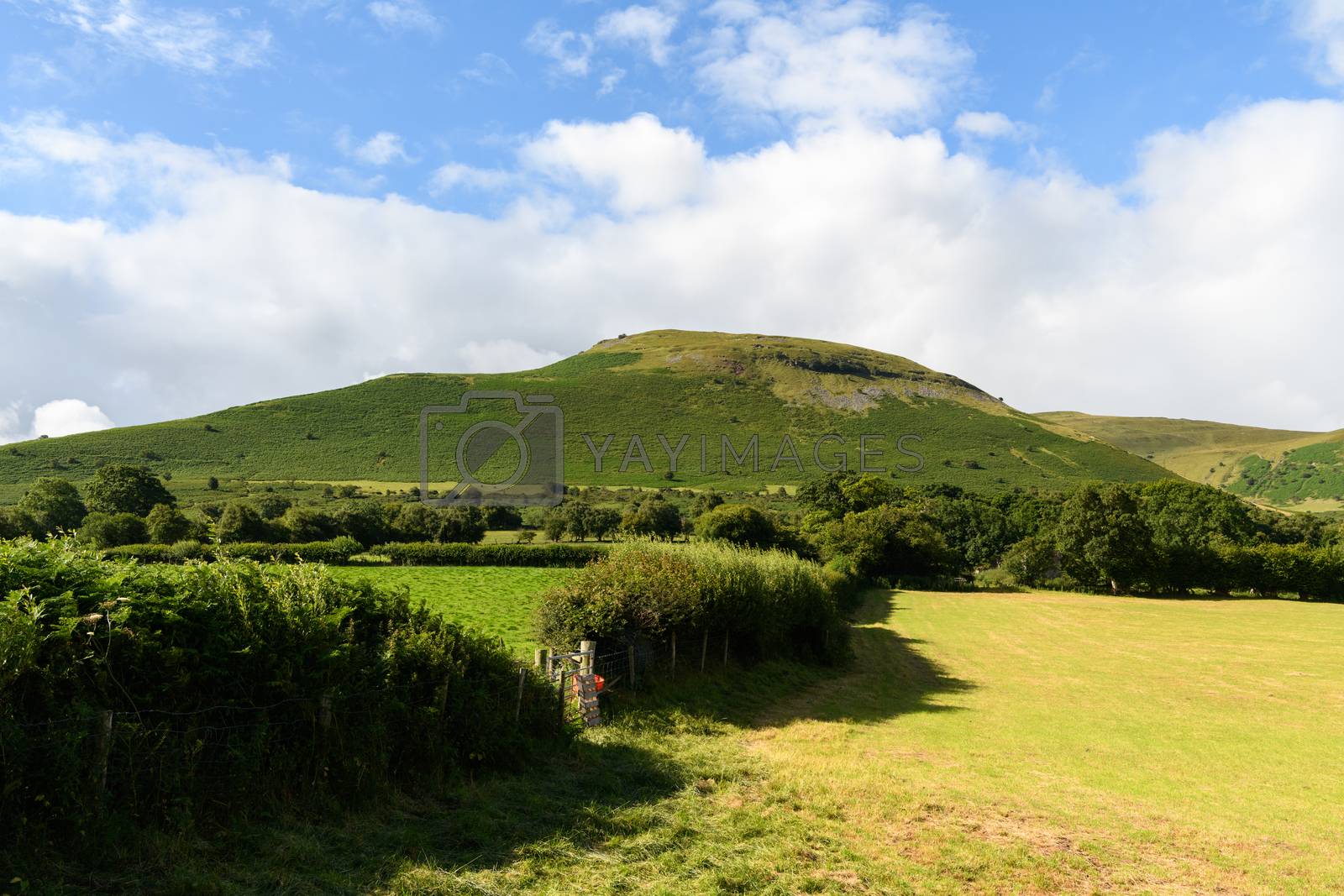 Royalty free image of Brecon Beacons Landscape by andyperiam