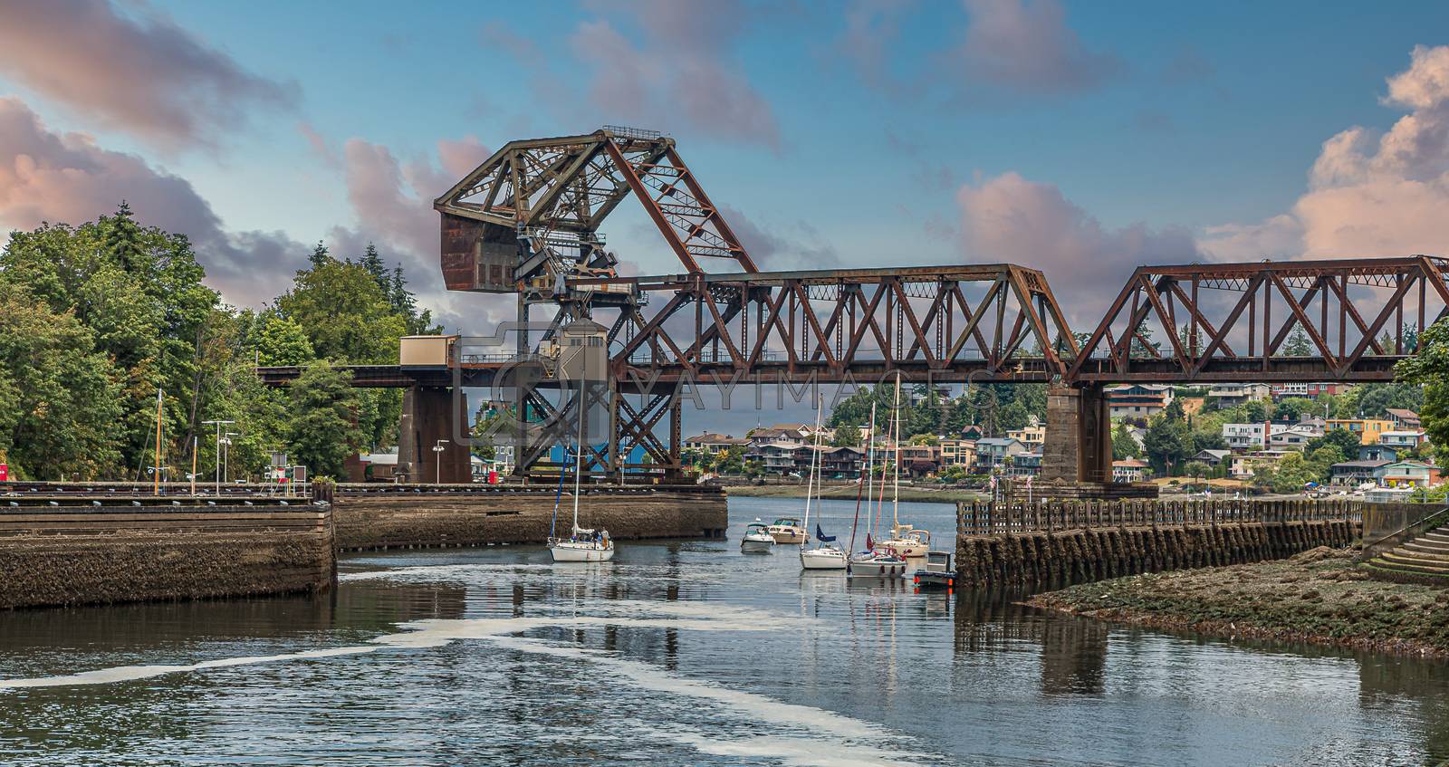Royalty free image of Salmon Bay Bridge in Ballard Locks by dbvirago