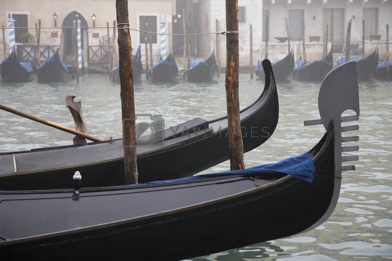 Royalty free image of Italy Venice gondolas by moodboard