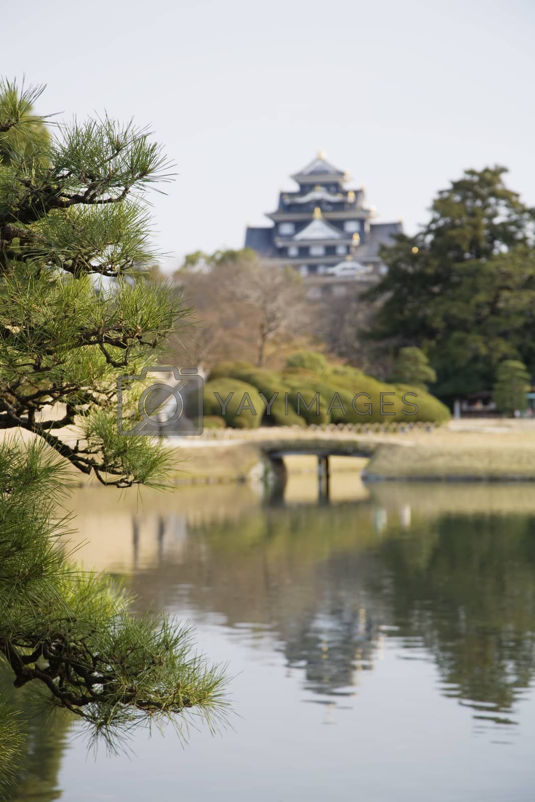 Royalty free image of Pond in Korakuen Garden in Okayama by moodboard
