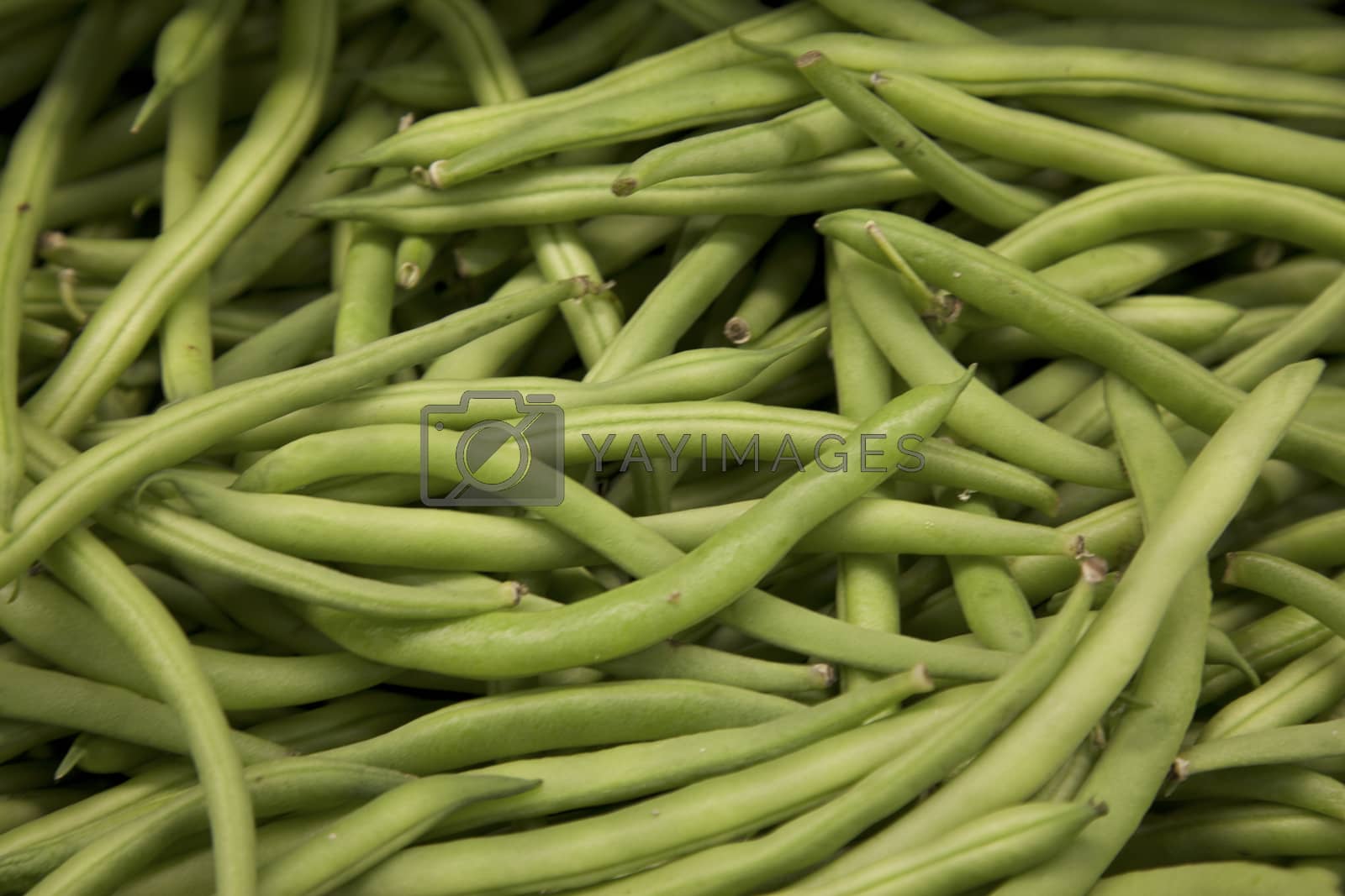 Royalty free image of Close-up of string beans in market by moodboard