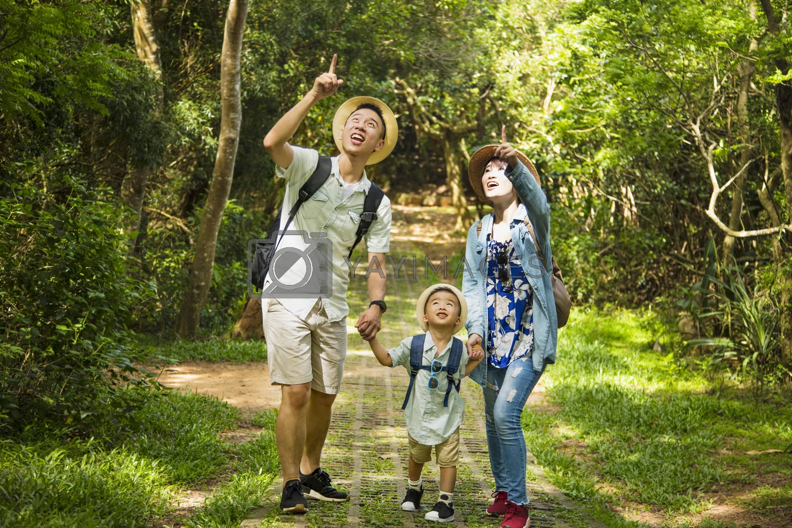 Royalty free image of happy family hiking through the forest by tomwang